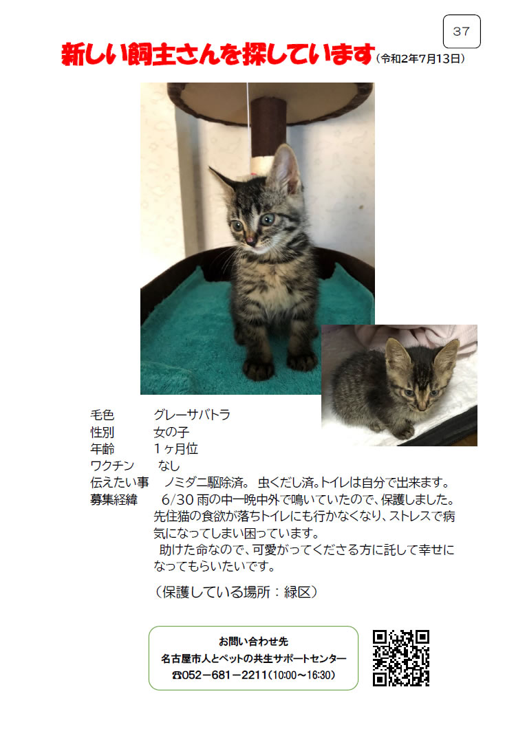 【1】2020年7月14日掲載