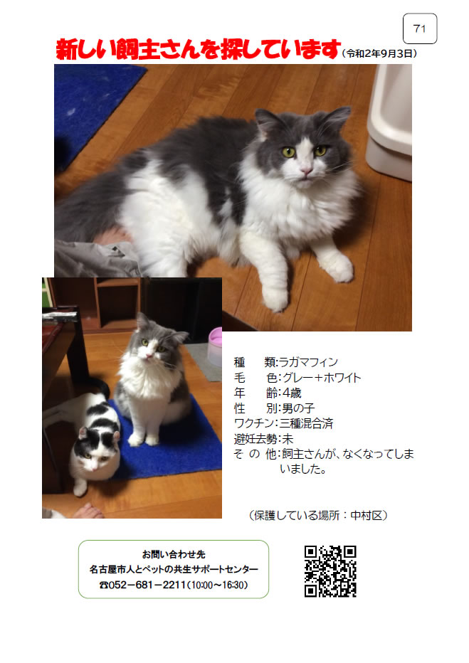 【2】2020年9月3日掲載