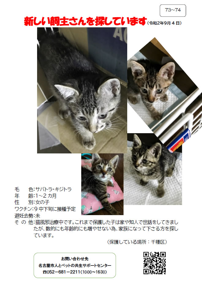 【1】2020年9月4日掲載