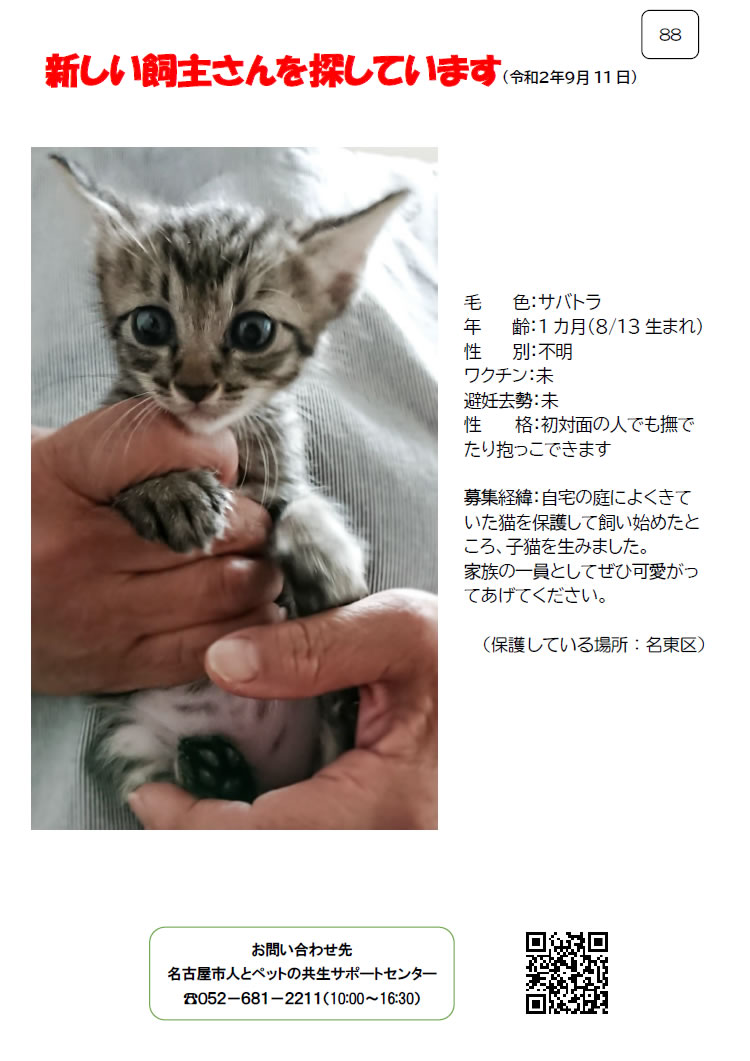 【1】2020年9月11日掲載