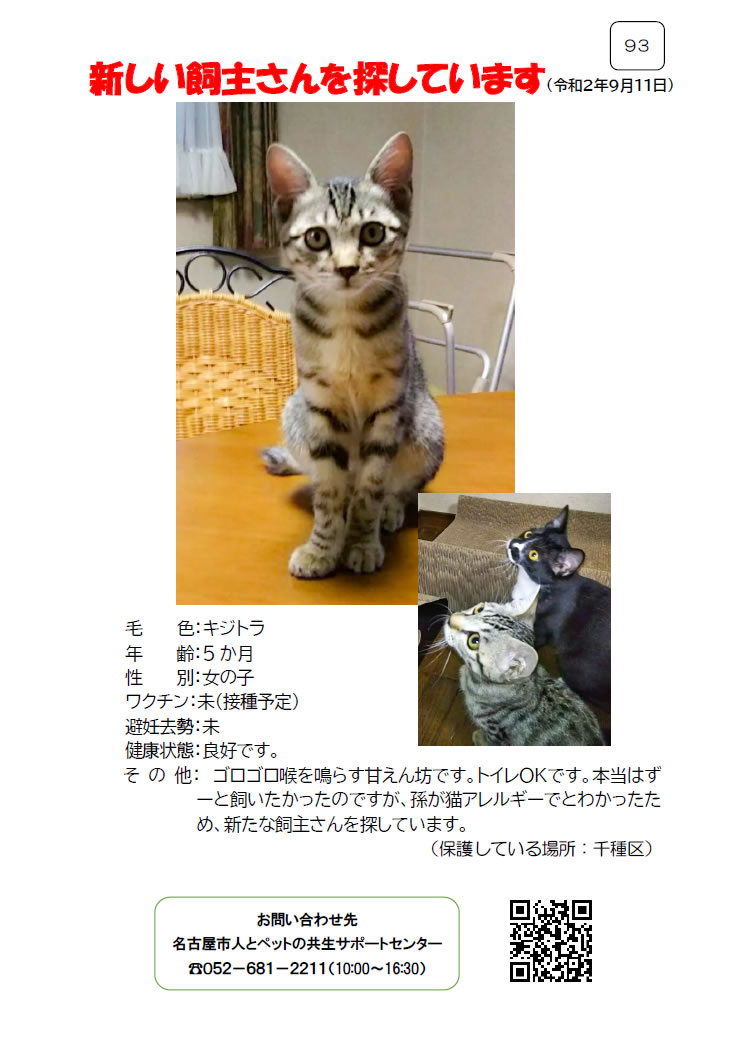 【6】2020年9月11日掲載