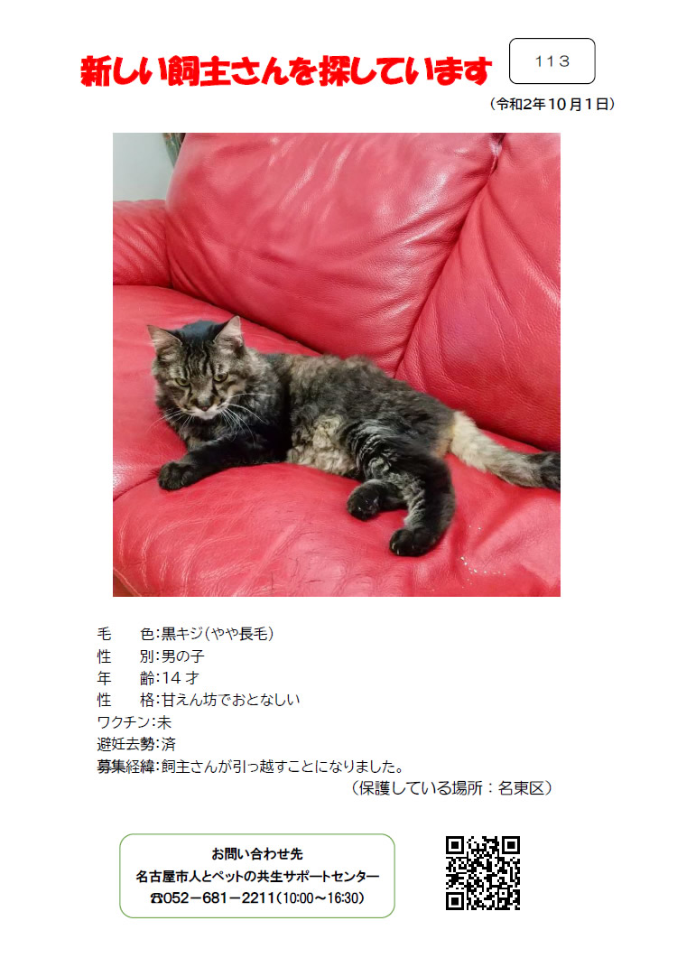 【6】2020年10月1日掲載