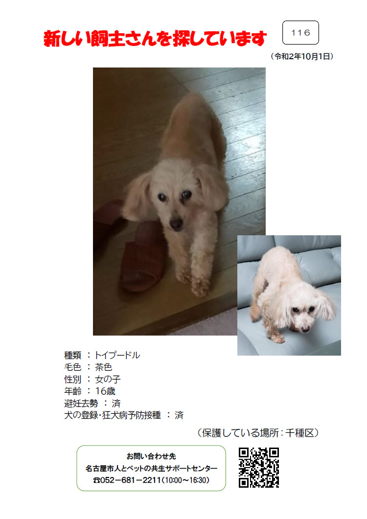 【8】2020年10月1日掲載