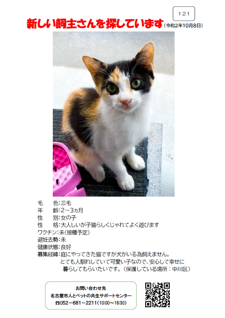 【2】2020年10月8日掲載