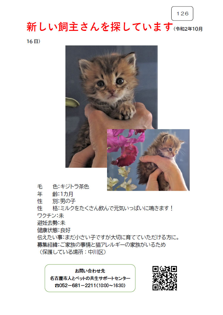 【4】2020年10月16日掲載