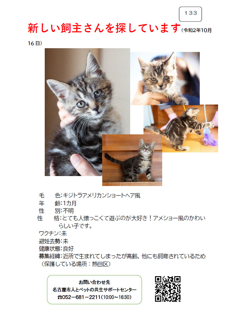 【8】2020年10月16日掲載