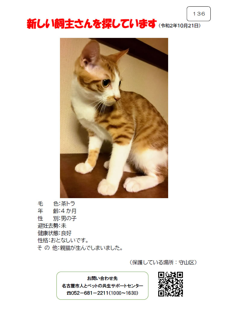 【2】2020年10月21日掲載