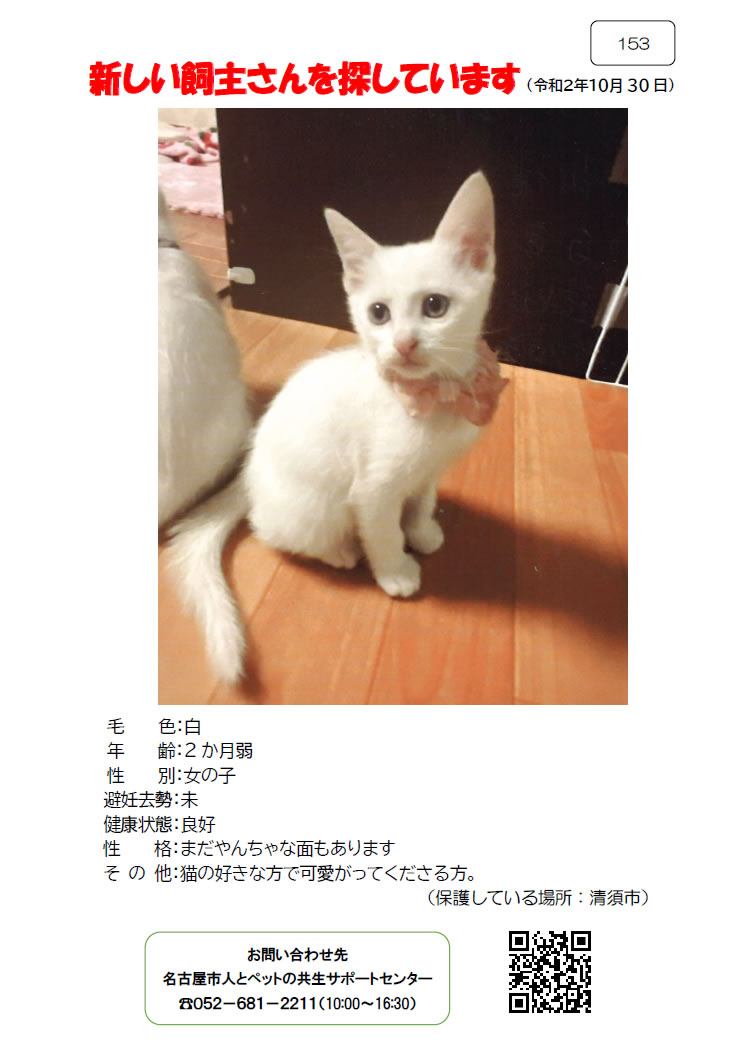 【8】2020年10月30日掲載