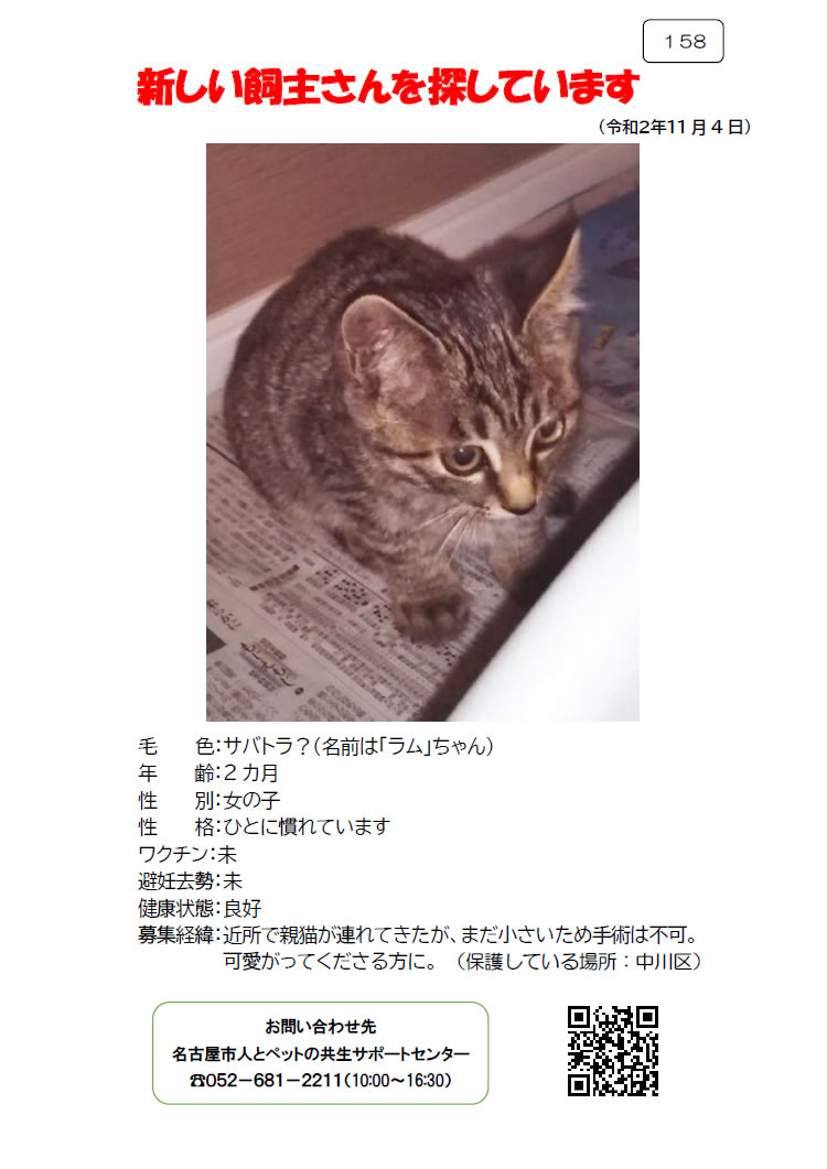 【2】2020年11月4日掲載