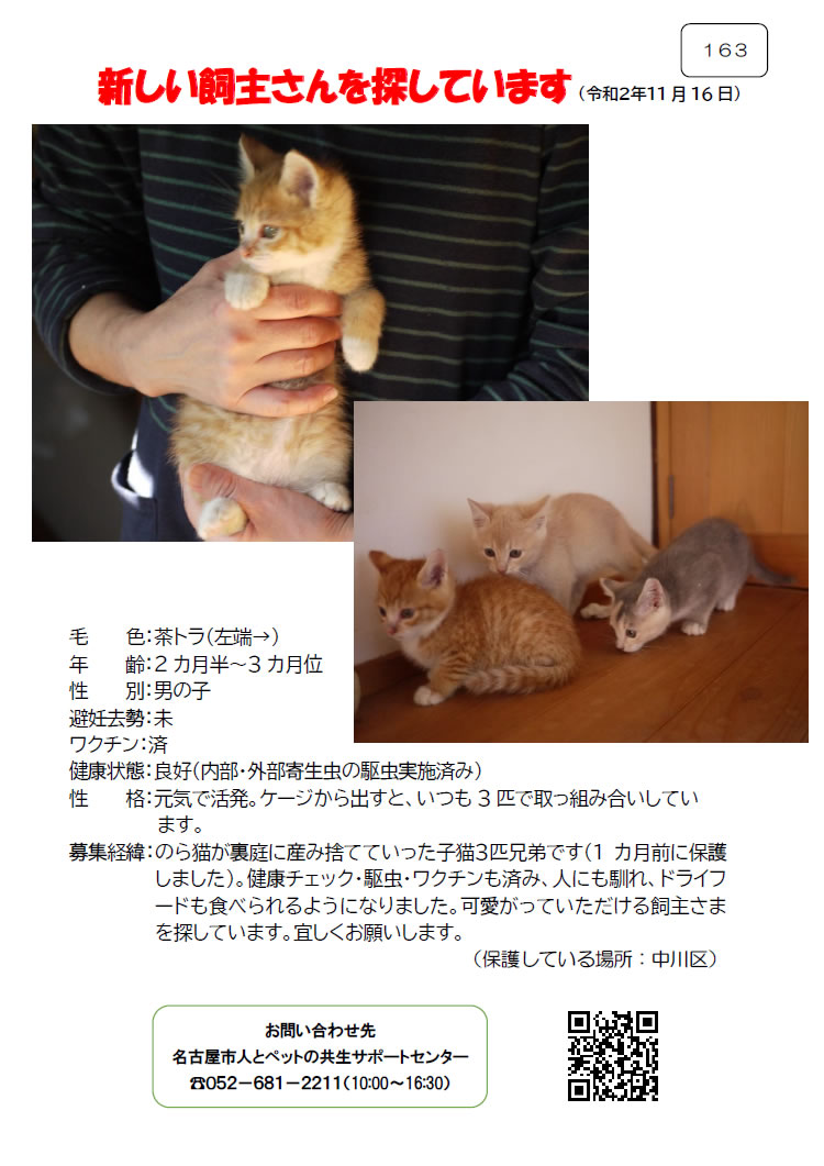 【1】2020年11月16日掲載