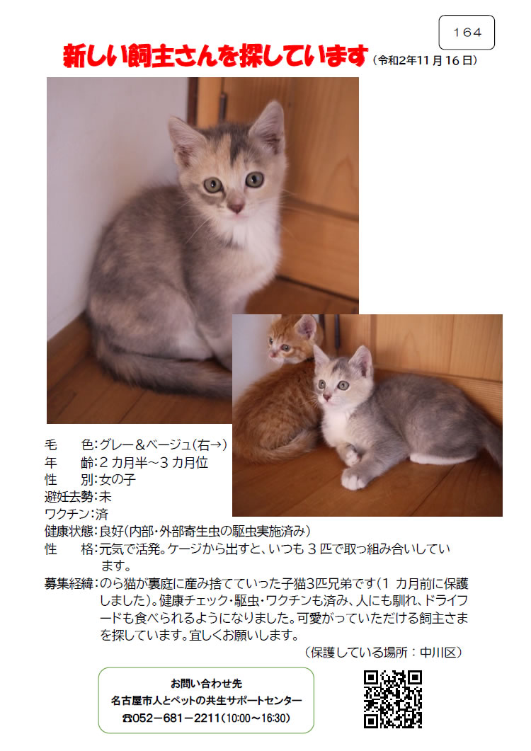 【2】2020年11月16日掲載