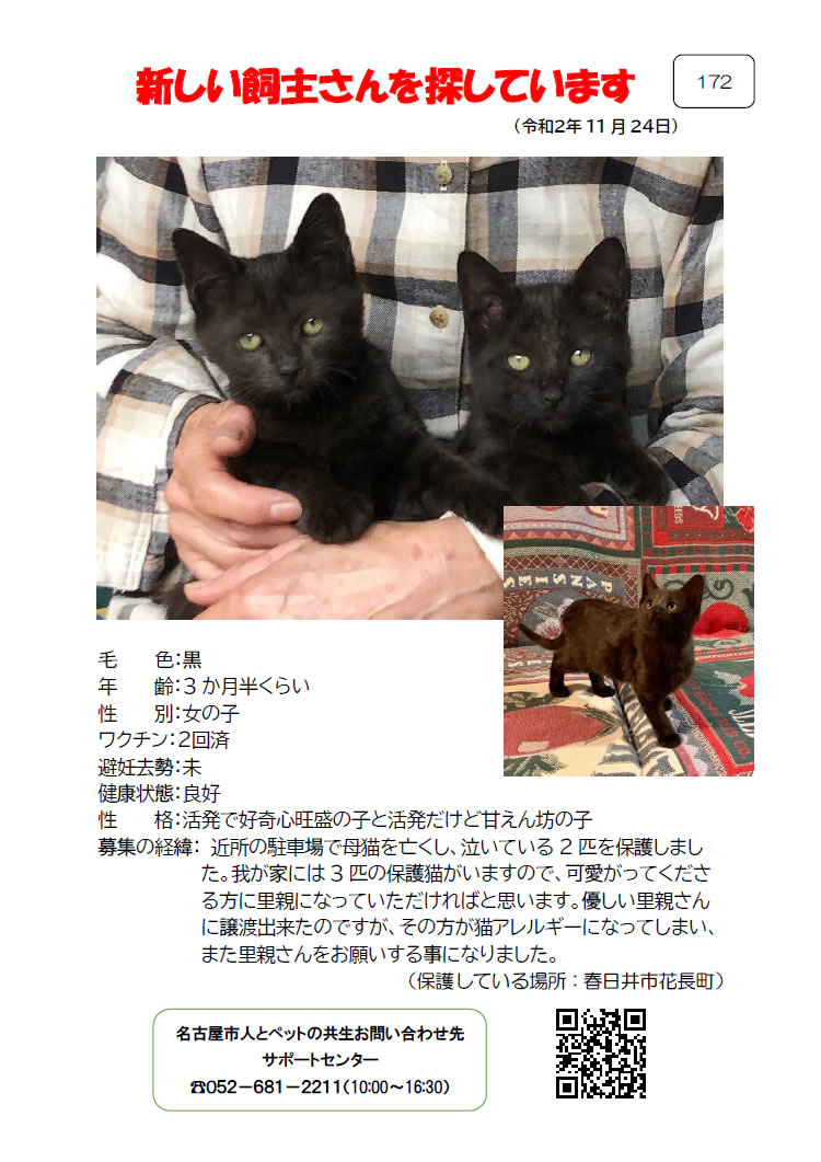 【2】2020年11月24日掲載