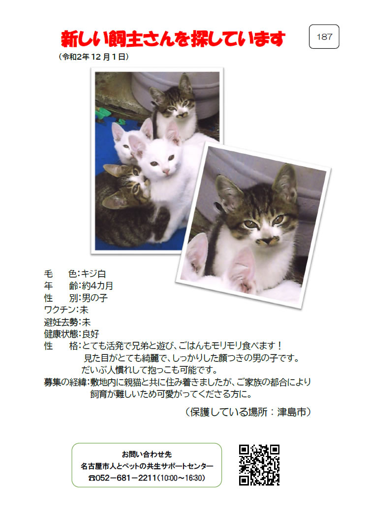 【3】2020年12月2日掲載