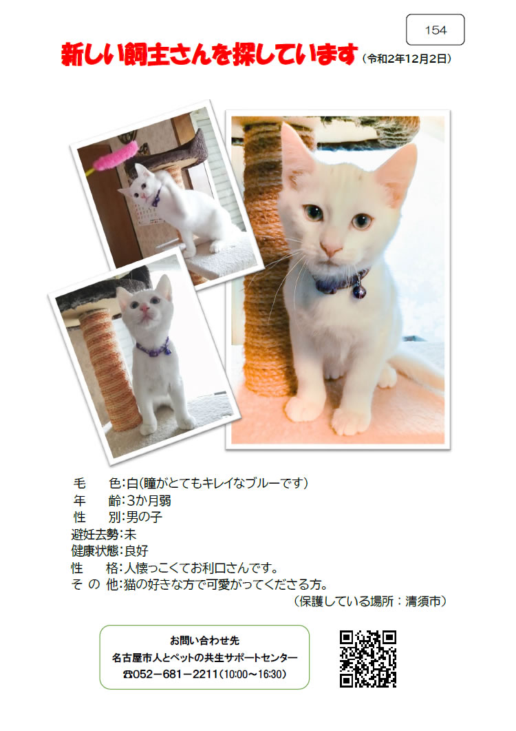 【9】2020年12月2日掲載