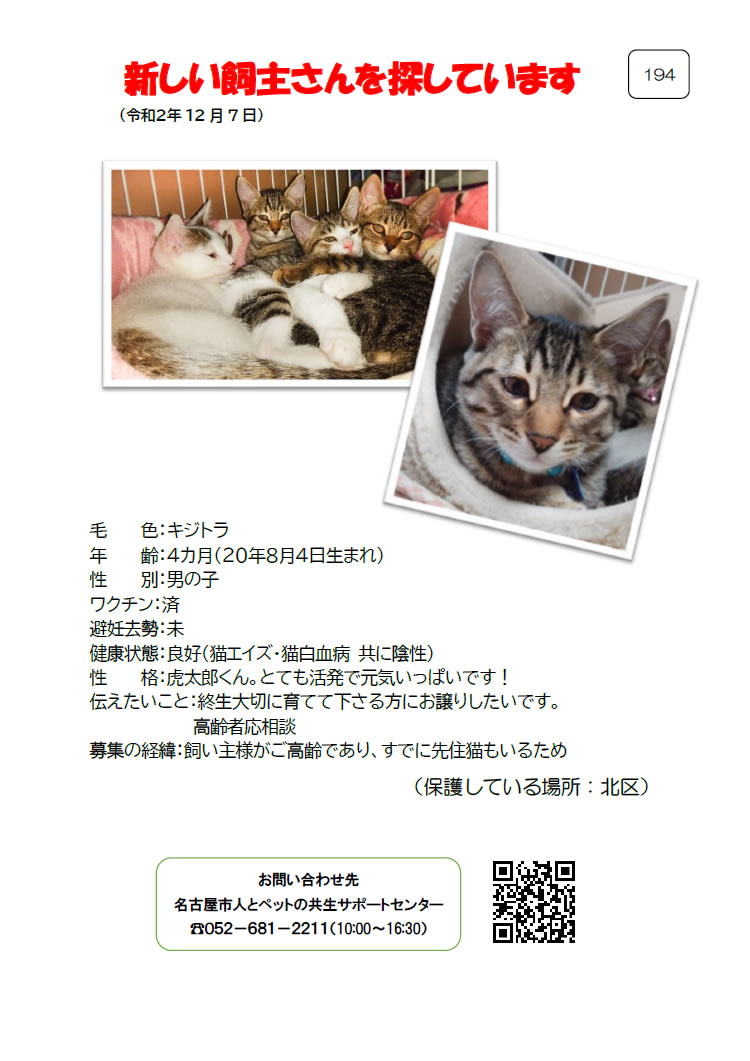 【3】2020年12月7日掲載