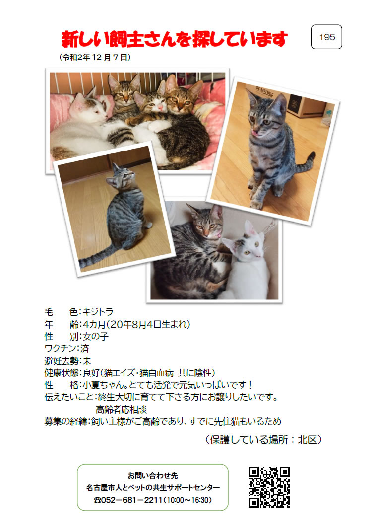 【4】2020年12月7日掲載