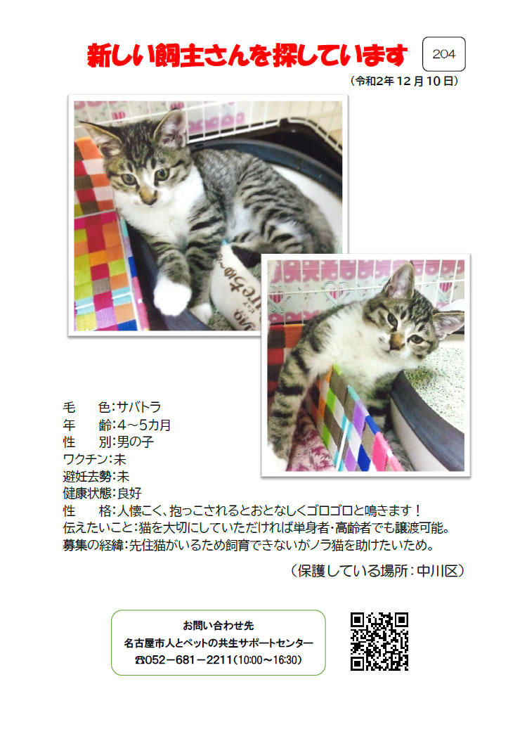 【2】2020年12月10日掲載