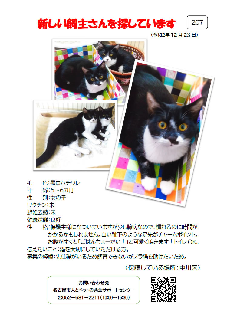 【1】2020年12月23日掲載