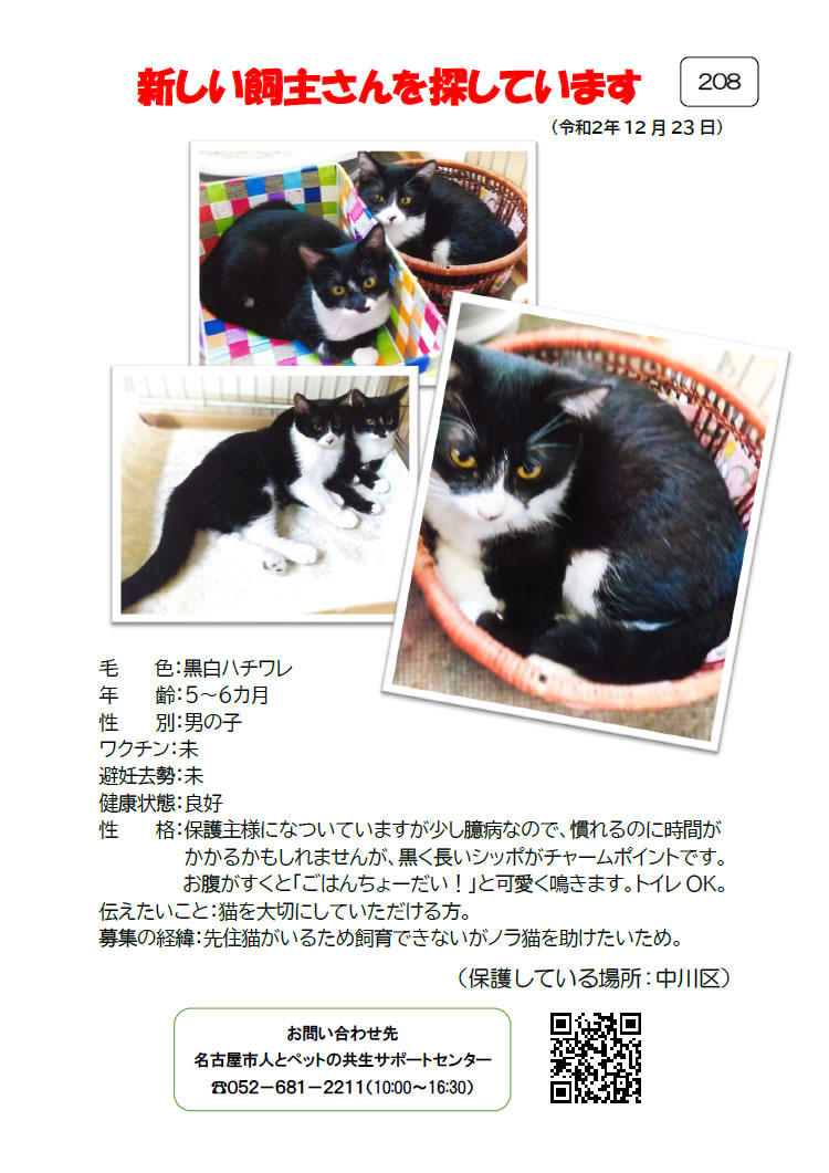 【2】2020年12月23日掲載