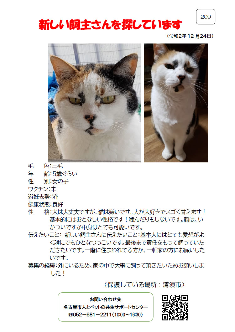 【1】2020年12月24日掲載