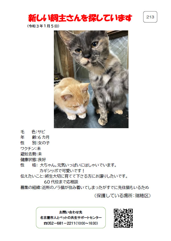 【1】2021年1月5日掲載