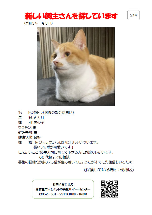 【2】2021年1月5日掲載