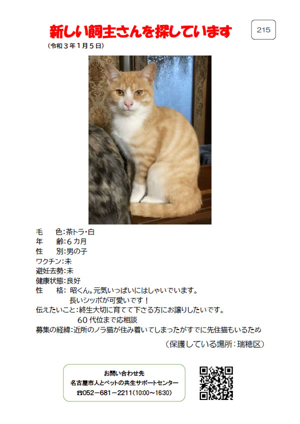 【3】2021年1月5日掲載