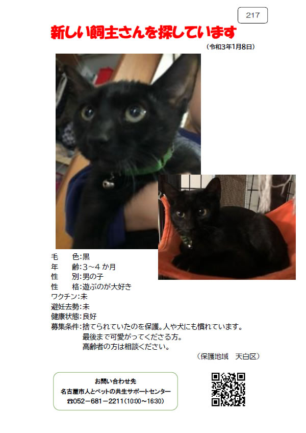 【2】2021年1月8日掲載