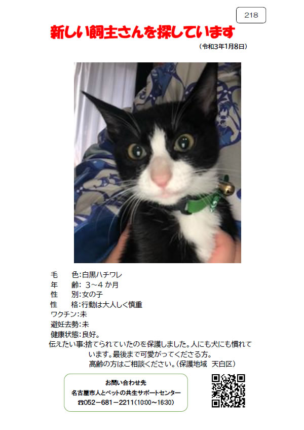 【3】2021年1月8日掲載