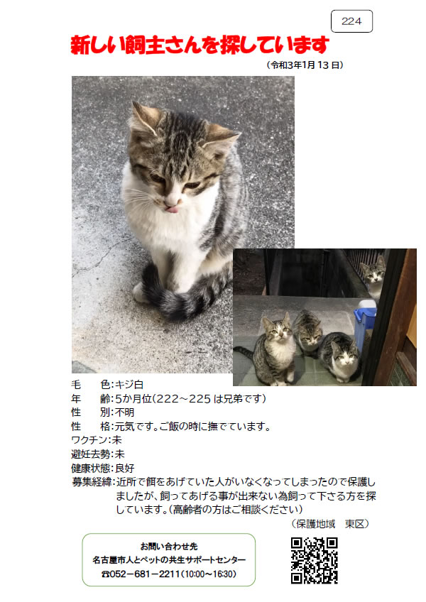 【3】2021年1月13日掲載