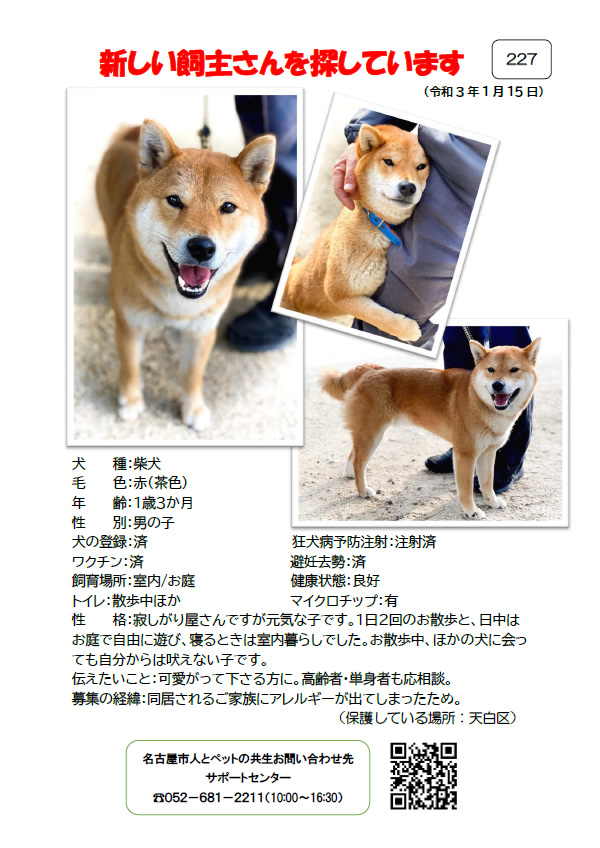 【1】2021年1月15日掲載