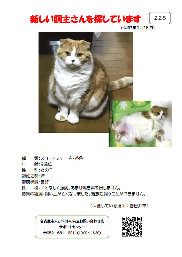 【1】2021年1月18日掲載