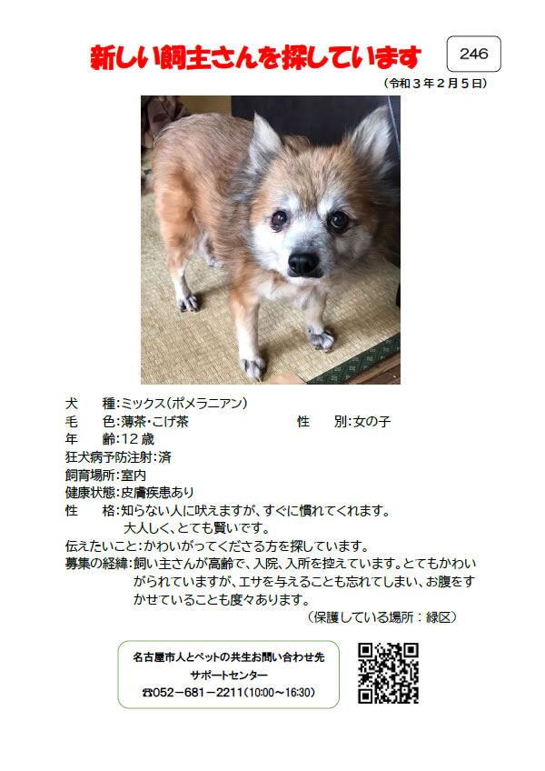 【1】2021年2月8日掲載