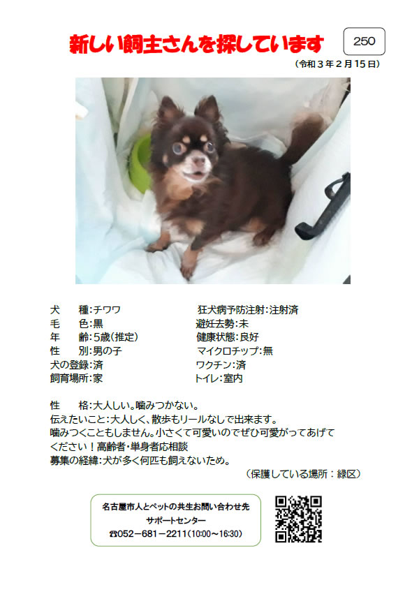 【1】2021年2月15日掲載