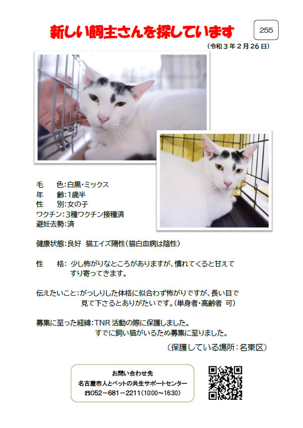 【1】2021年2月26日掲載