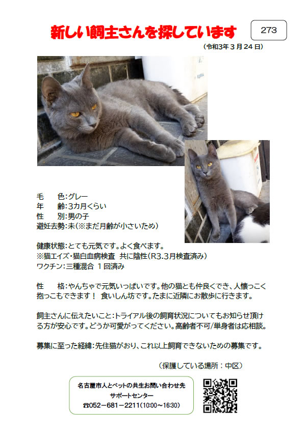 【2】2021年3月24日掲載