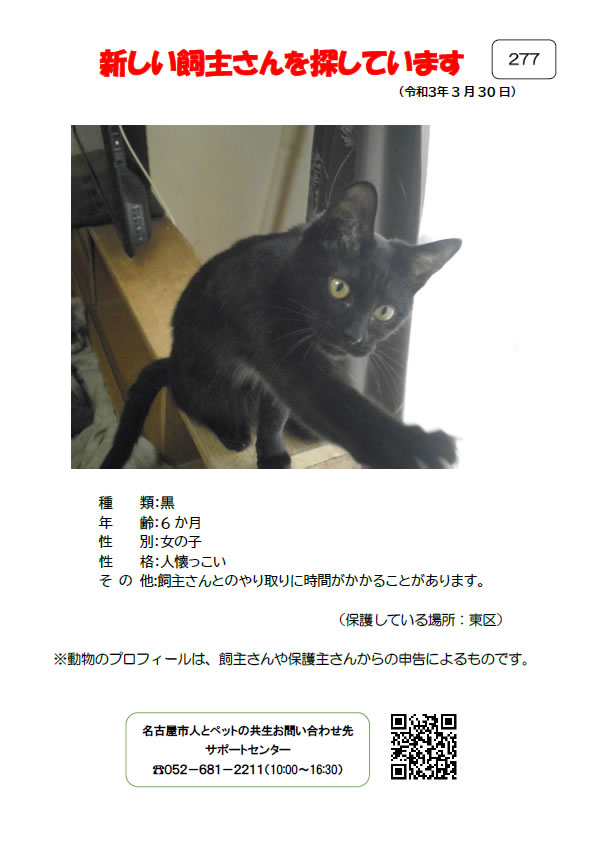 【3】2021年3月30日掲載