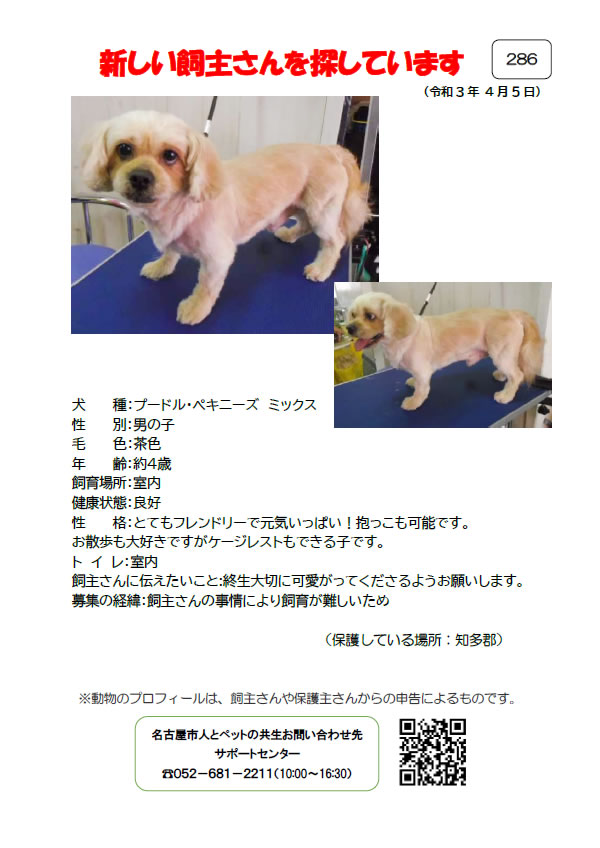 【4】2021年4月5日掲載