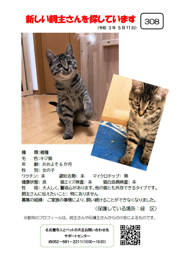 【3】2021年5月11日掲載