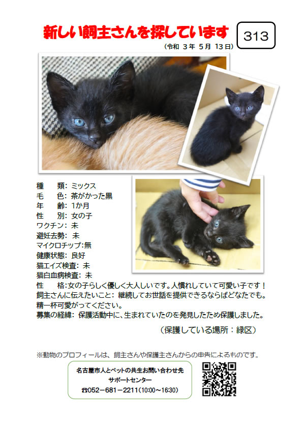 【3】2021年5月13日掲載