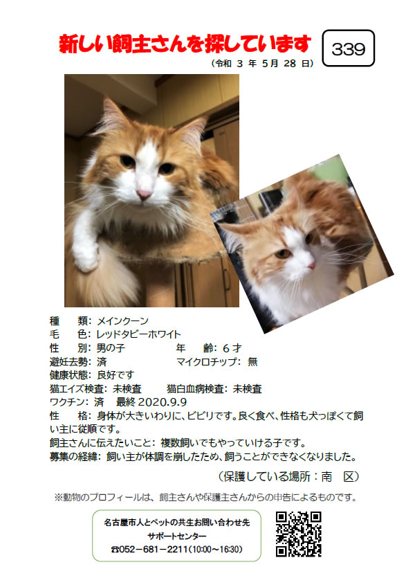 【4】2021年5月28日掲載