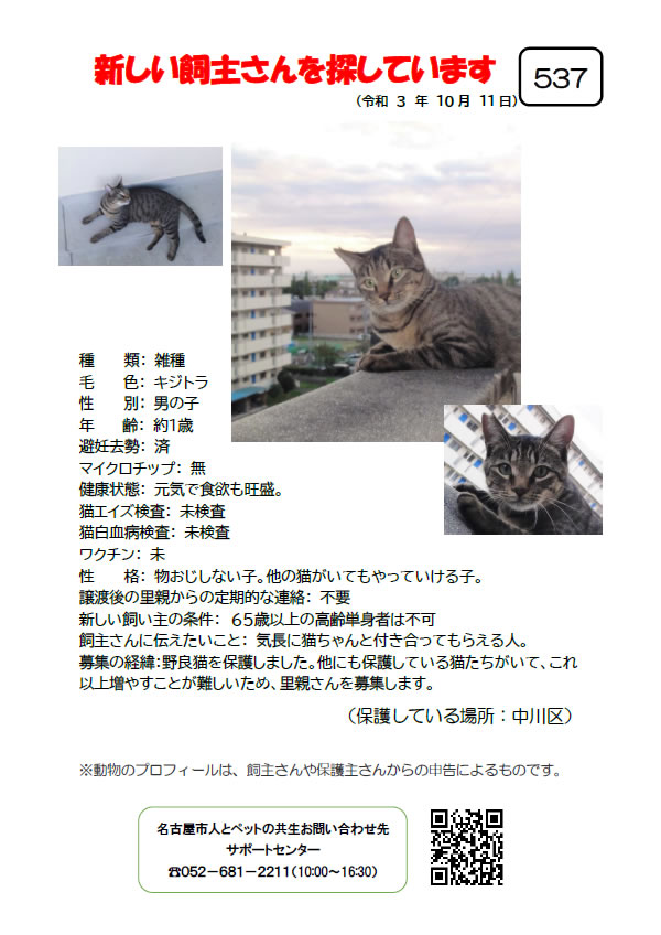 【2】2021年10月11日掲載