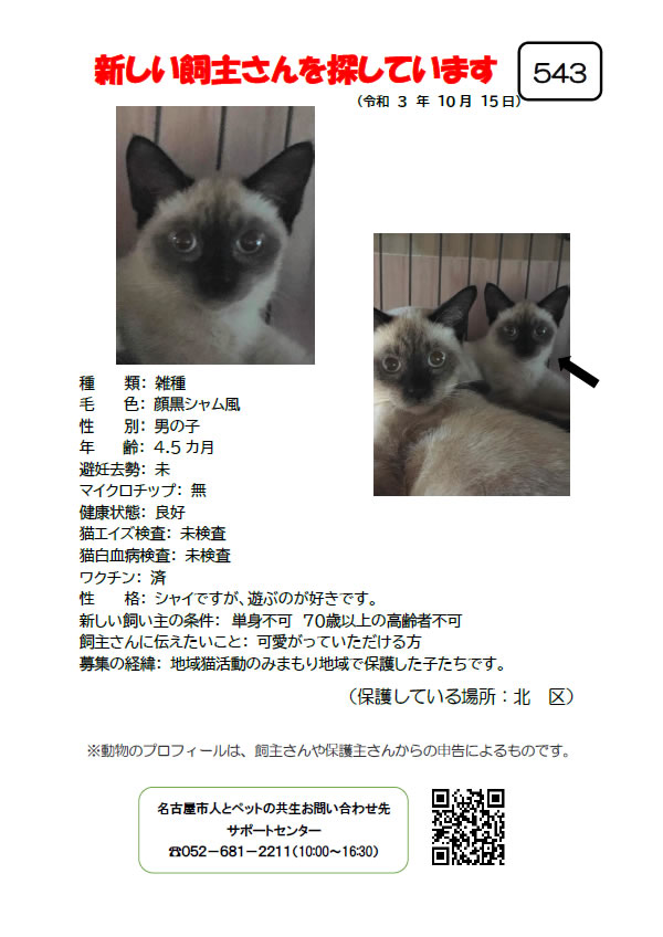 【2】2021年10月15日掲載