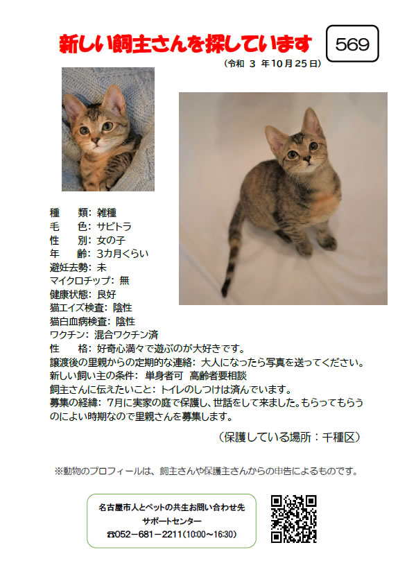 【6】2021年10月25日掲載