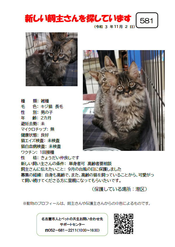 【8】2021年11月2日掲載