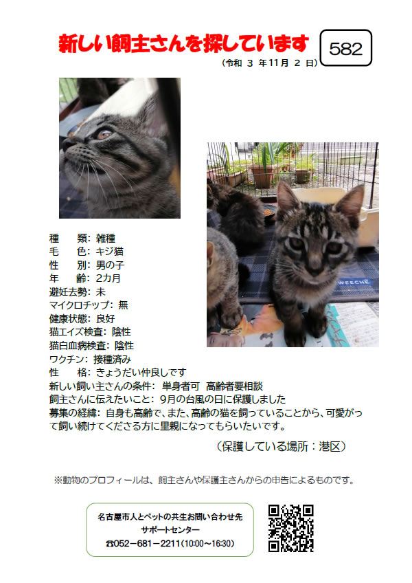 【9】2021年11月2日掲載