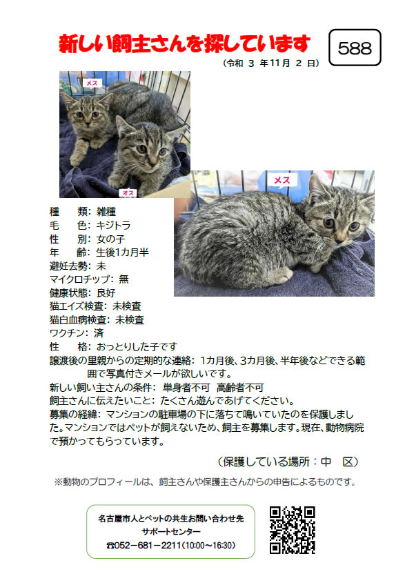 【14】2021年11月2日掲載