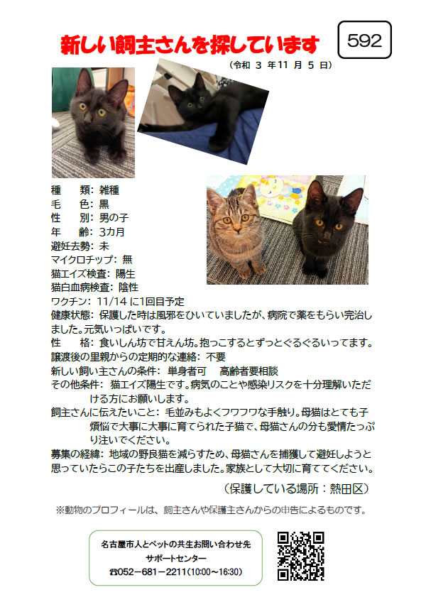 【4】2021年11月5日掲載