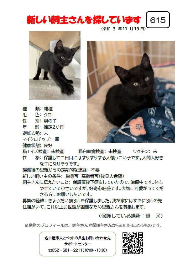 【2】2021年11月19日掲載