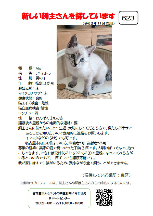 【3】2021年11月25日掲載